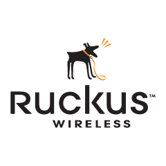 Ruckus Wireless